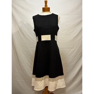 Calvin Klein Belted Colorblock Fit and Flare Dress (Size 10) Sold